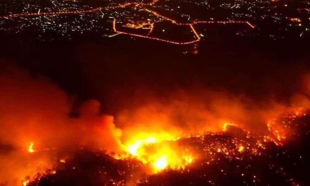 “Κάρβουνο” η επόμενη μέρα της πανδημίας - Κανείς δεν μιλάει για την πύρινη λαίλαπα στην Ταϊλάνδη